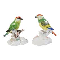 Pair Meissen parrots, late 19th century
