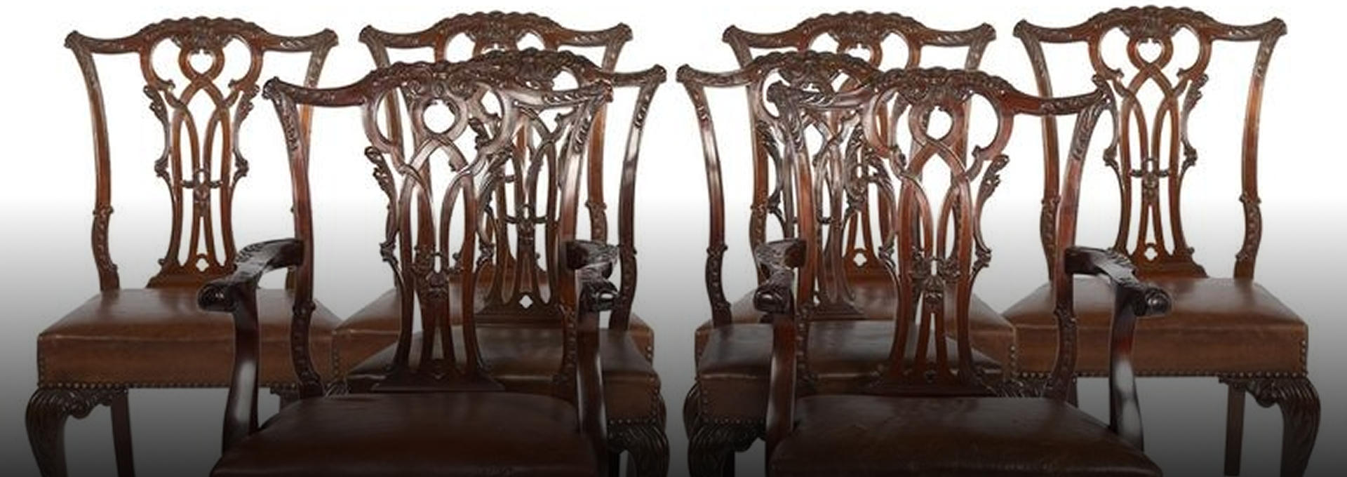 Dining Chairs