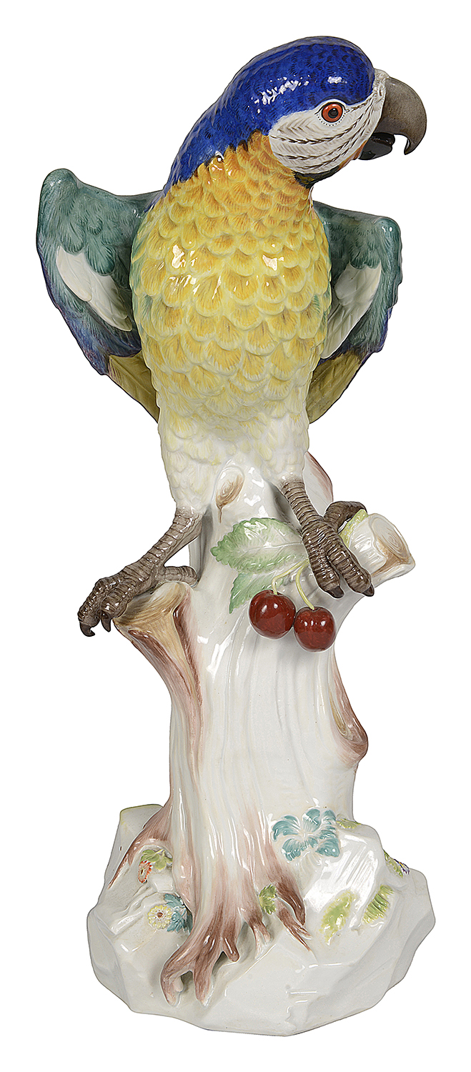 Large Meissen Parrot, late C19th.43cm